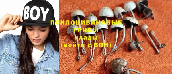 ГАЛЛЮЦИНОГЕННЫЕ ГРИБЫ Козельск