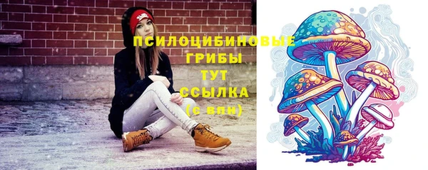 ГАЛЛЮЦИНОГЕННЫЕ ГРИБЫ Козельск