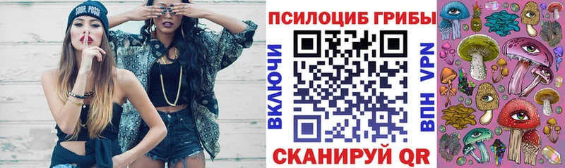 Псилоцибиновые грибы мицелий  Купить где  Задонск 